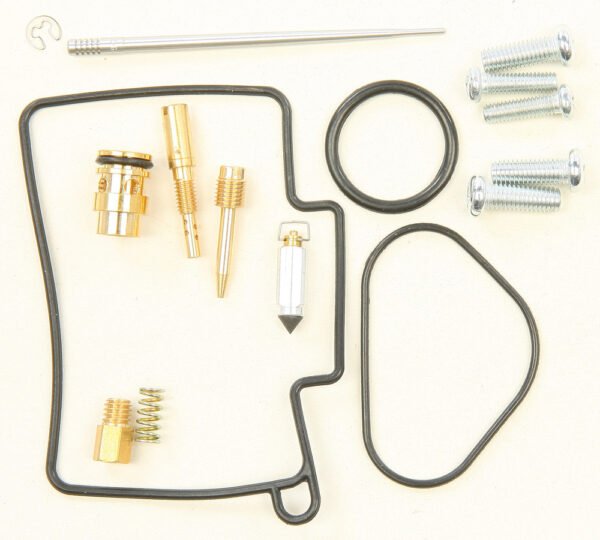 Carburetor Repair Kit